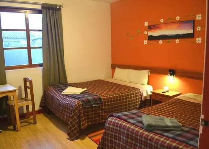 Net House 3*